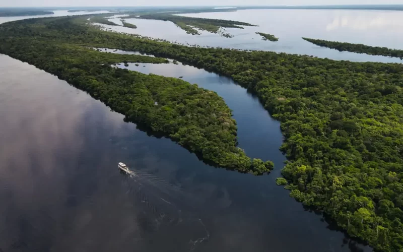 Anavilhanas em Novo Airão, arquipélago de ilhas no Rio Negro, no Amazonas