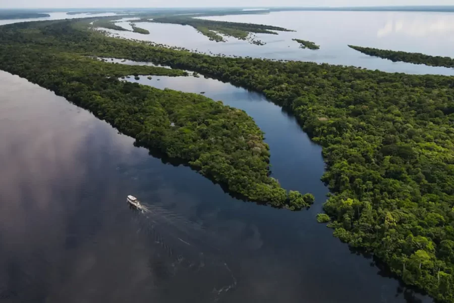 Anavilhanas em Novo Airão, arquipélago de ilhas no Rio Negro, no Amazonas