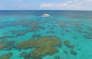 Dica de turismo: piscinas naturais em Maracajau no Rio Grande do Norte