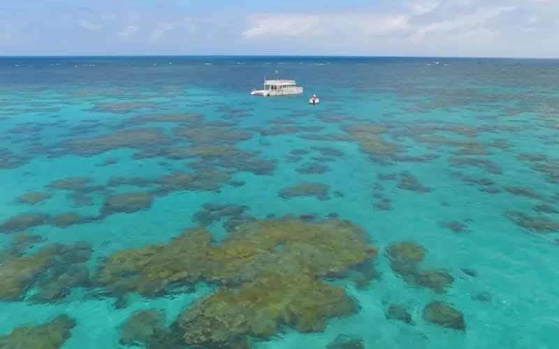 Dica de turismo: piscinas naturais em Maracajau no Rio Grande do Norte