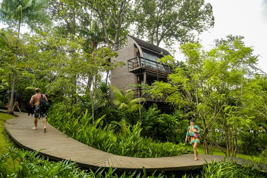 Hospedagens em Anavilhanas: o equilíbrio perfeito entre descanso, aventura e contato com a Amazônia