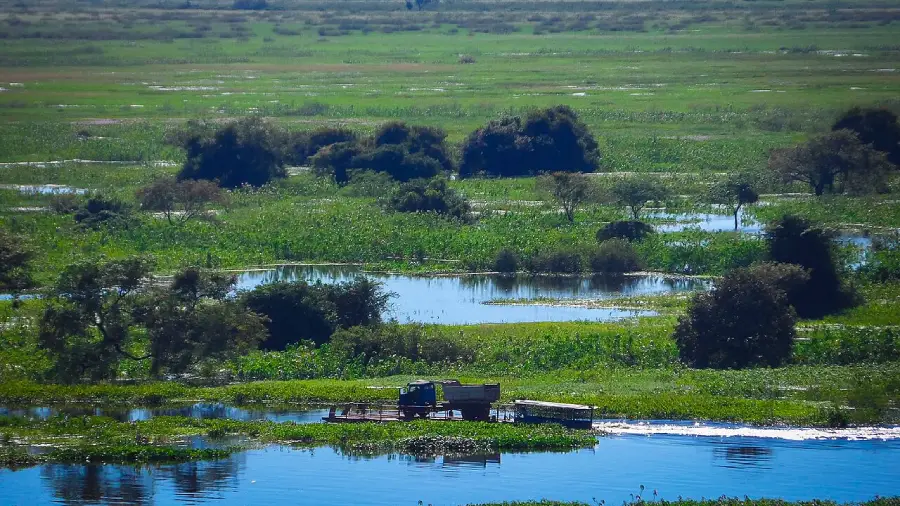 Pantanal em Corumbá, Mato Grosso do Sul, destino de ecoturismo