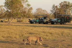 O Pantanal Sul-Mato-Grossense em Mato Grosso do Sul é destino de ecoturismo