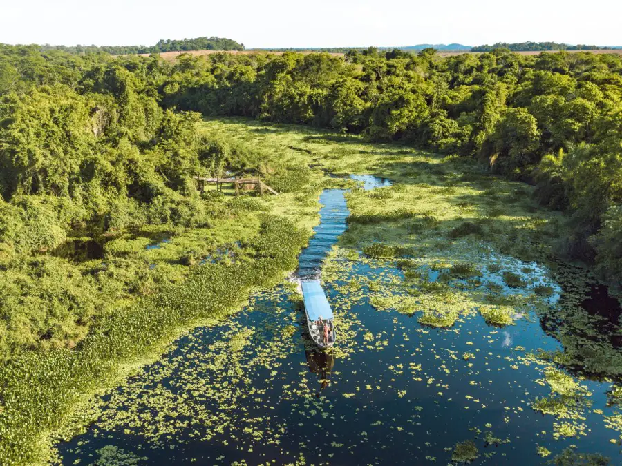 Rio no Pantanal Sul-Mato-Grossense em Mato Grosso do Sul atraem ecoturismo