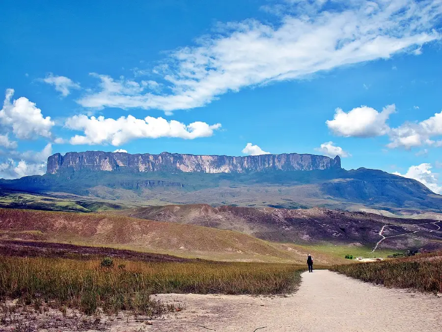 Paisagem do Parque Nacional do Monte Roraima