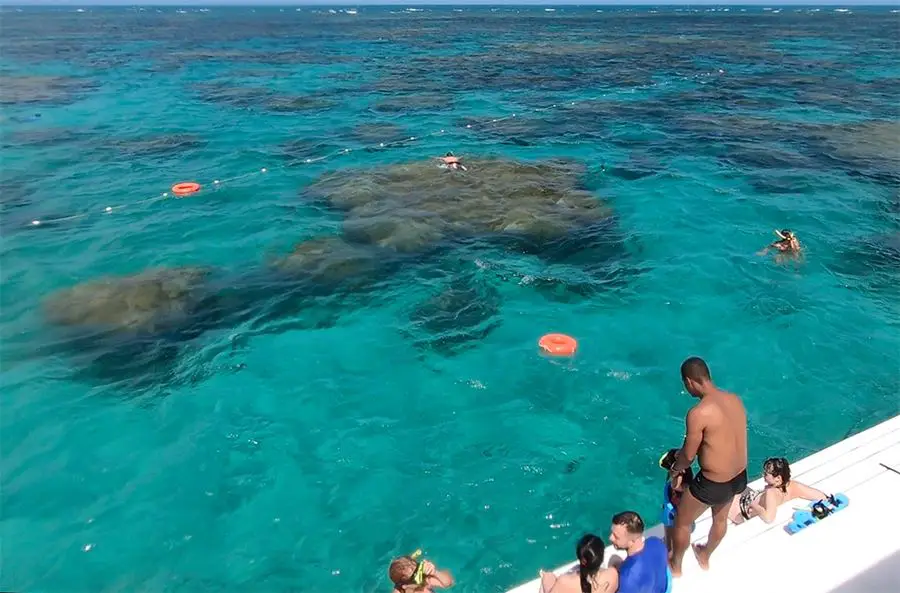 As Piscinas Naturais, RN encantam pela transparência do mar