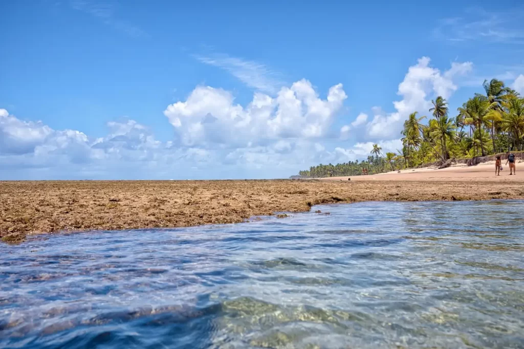Piscinas Naturais de Taipu de Fora, na Península de Maraú, com águas cristalinas e recifes