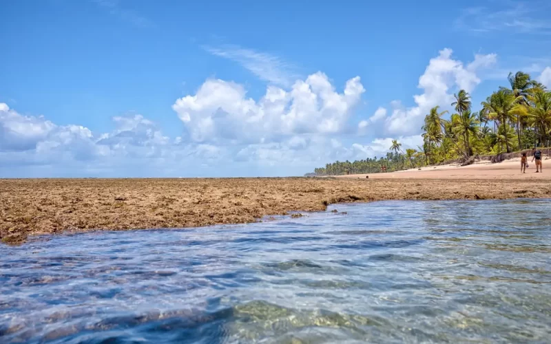 Piscinas Naturais de Taipu de Fora, na Península de Maraú, com águas cristalinas e recifes