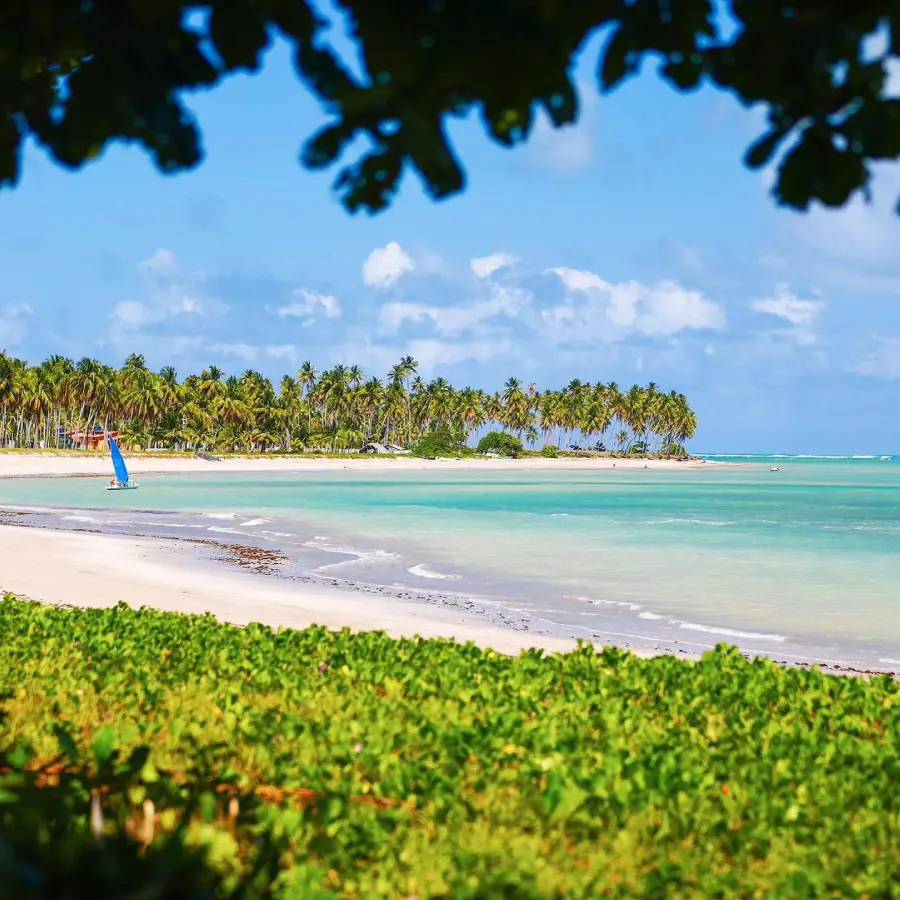 Porto de Pedras, AL é destino tranquilo no litoral