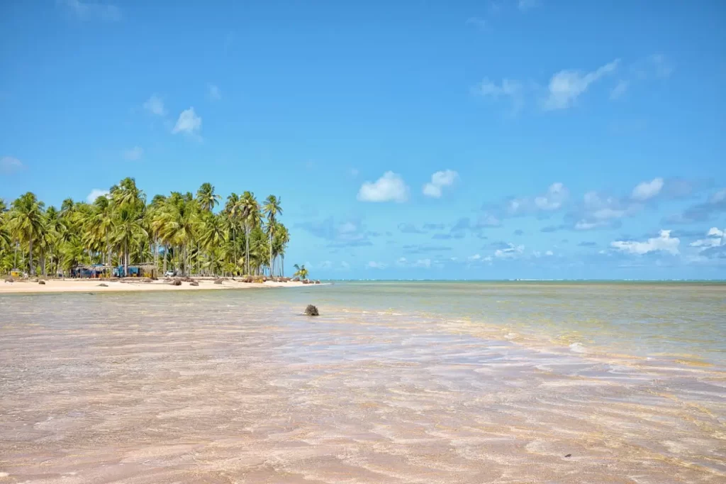Praia de Tatuamunha, Porto de Pedras, AL é destino tranquilo