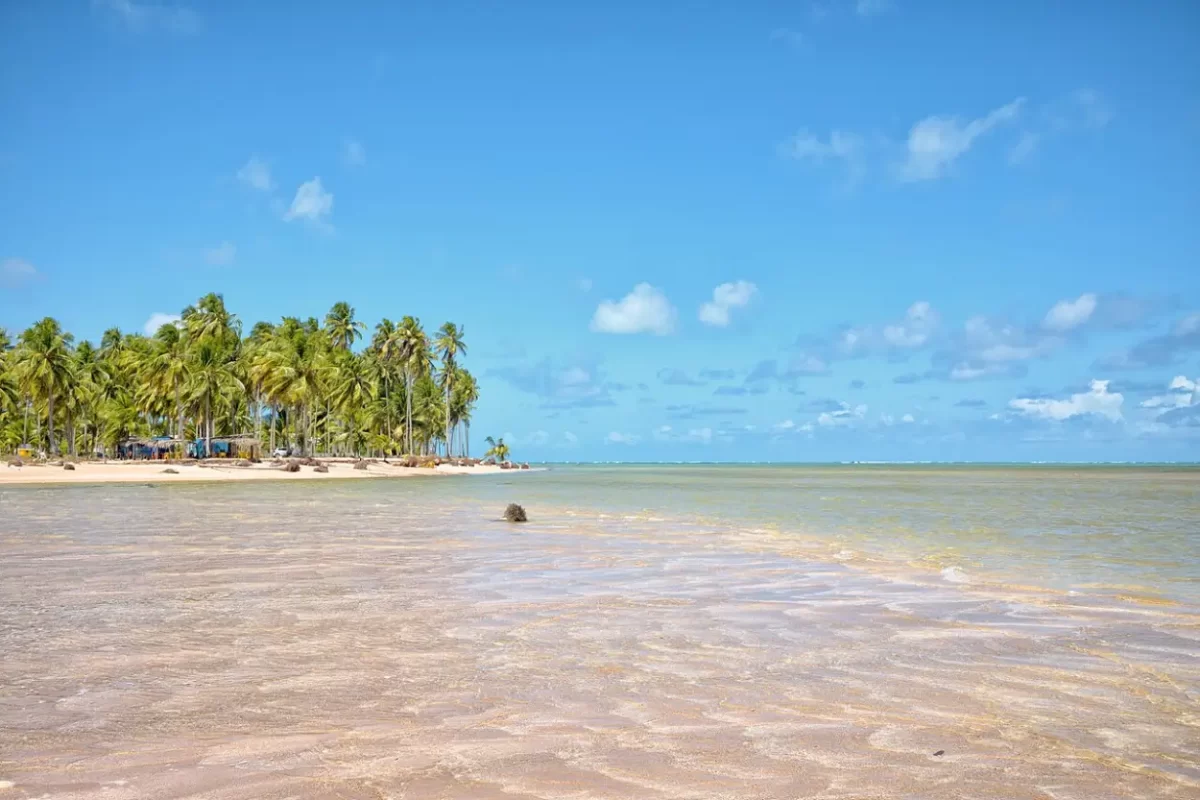 Praia de Tatuamunha, Porto de Pedras, AL é destino tranquilo