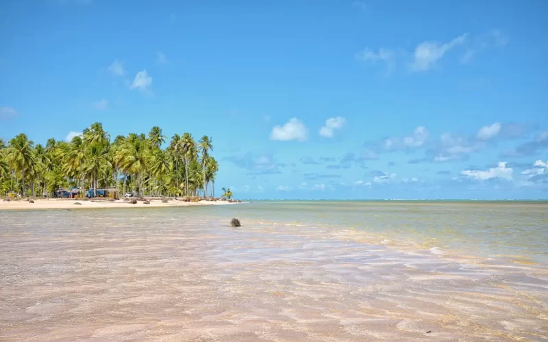 Praia de Tatuamunha, Porto de Pedras, AL é destino tranquilo