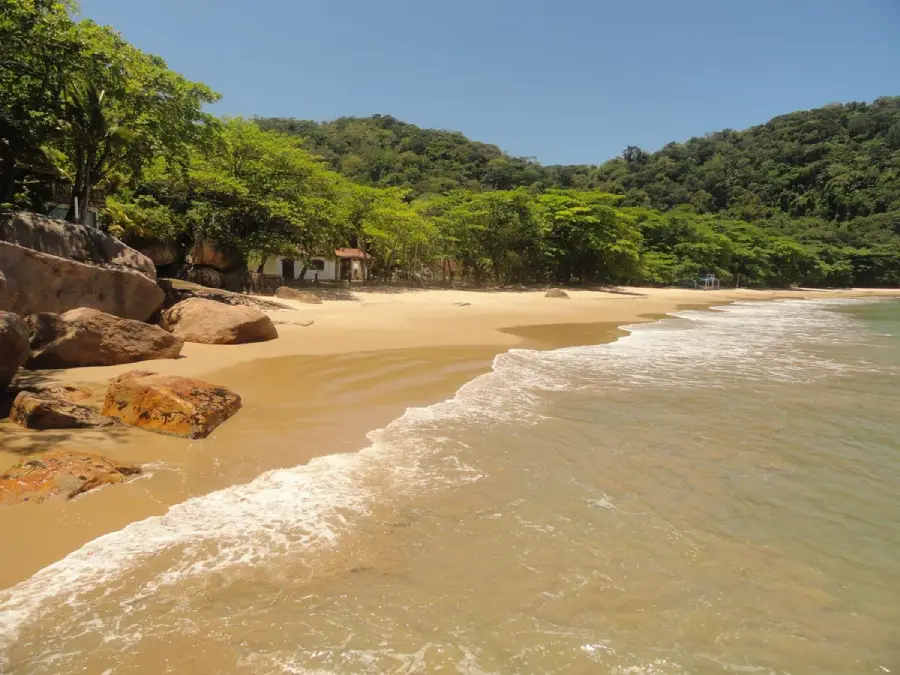 Dicas de praias em Ubatuba, SP: destinos imperdíveis no litoral norte