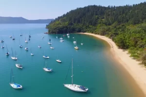 Ubatuba, no litoral norte de São Paulo, é conhecida pelas praias e trilhas